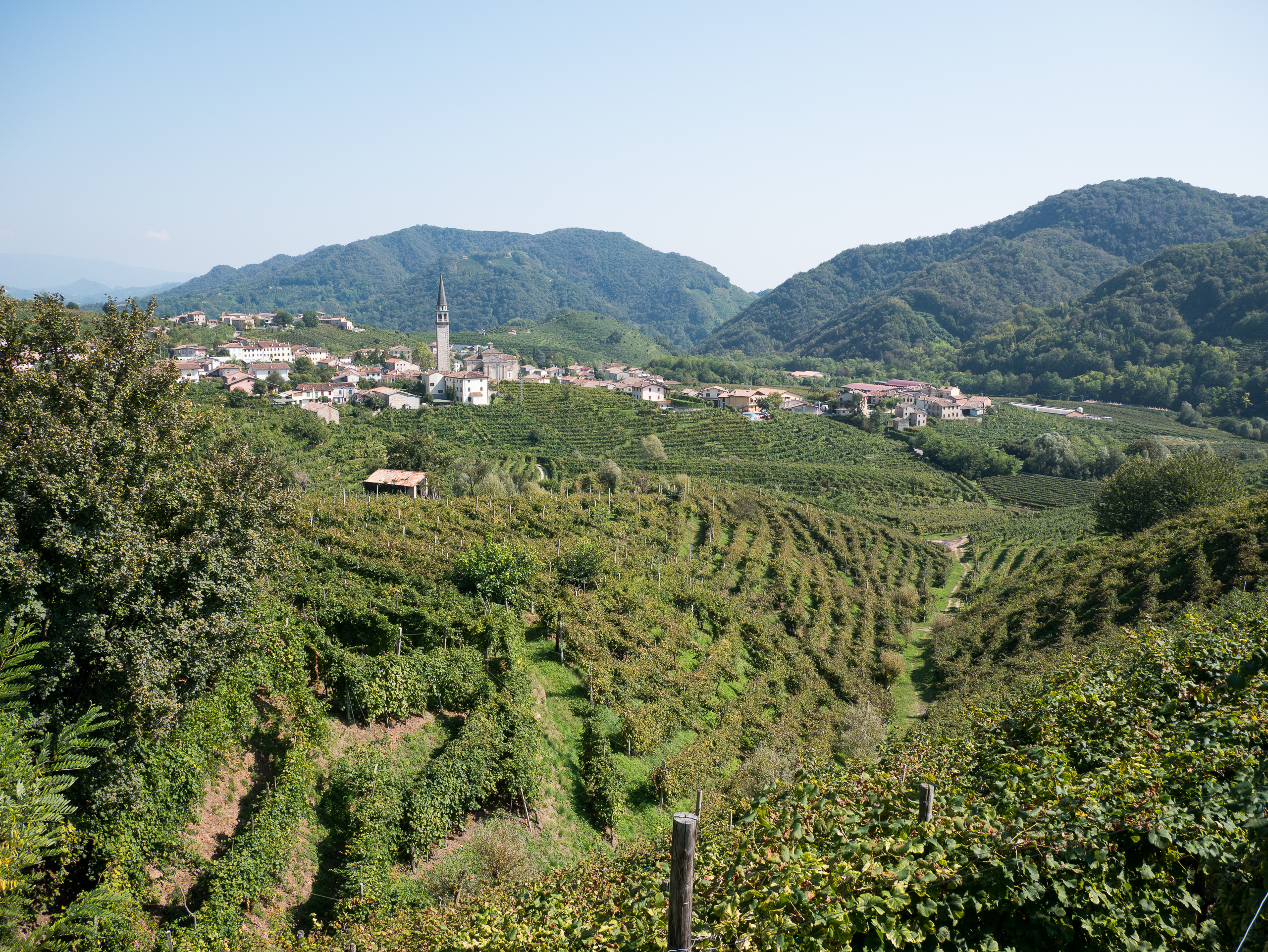 Prosecco-Weinberge mit Dorf und schlankem Kirchturm